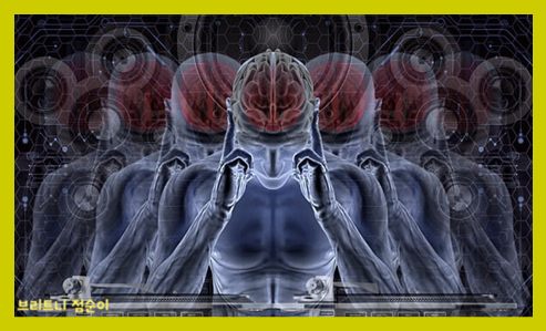 뇌파검사의 목적 뇌파검사 비용