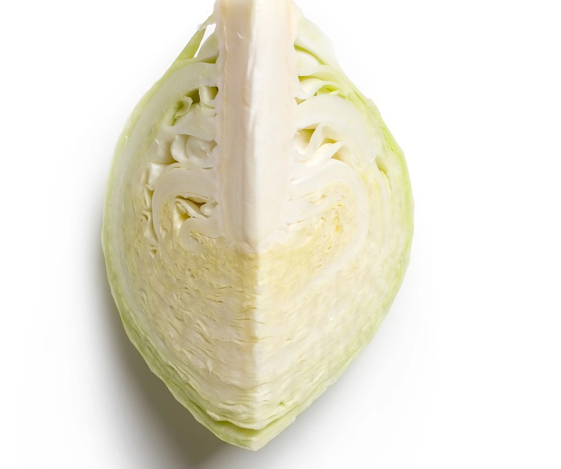 십자화과 채소 효능