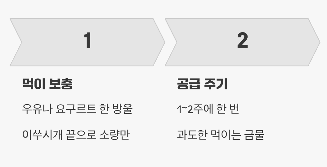 우리 집 작은 생태계 건강하게 유지하기