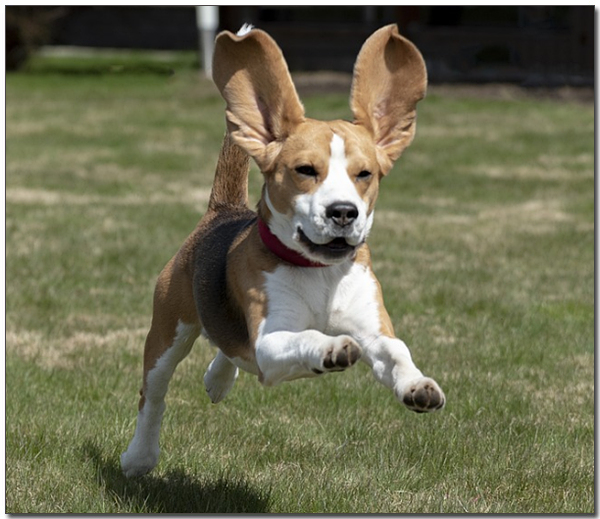 ๋ฐ๊ณ ์๋ ๋น๊ธ