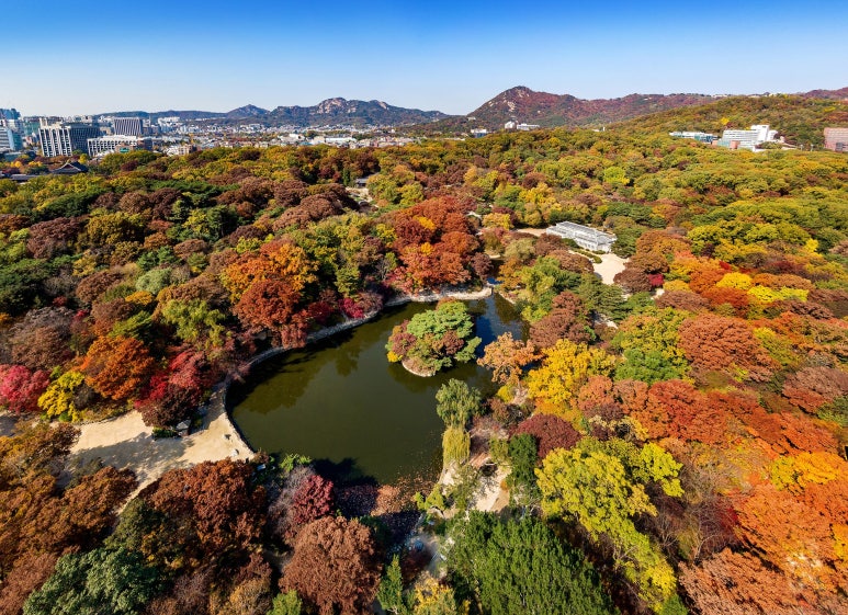 창경궁_춘당지_권역_춘당지_전경(궁능유적본부)-min