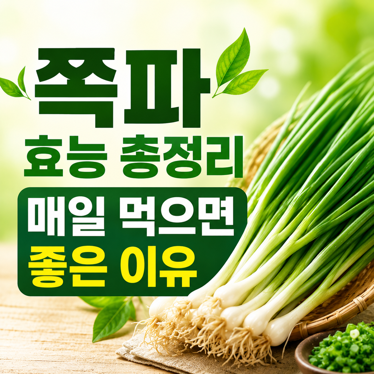 쪽파 효능