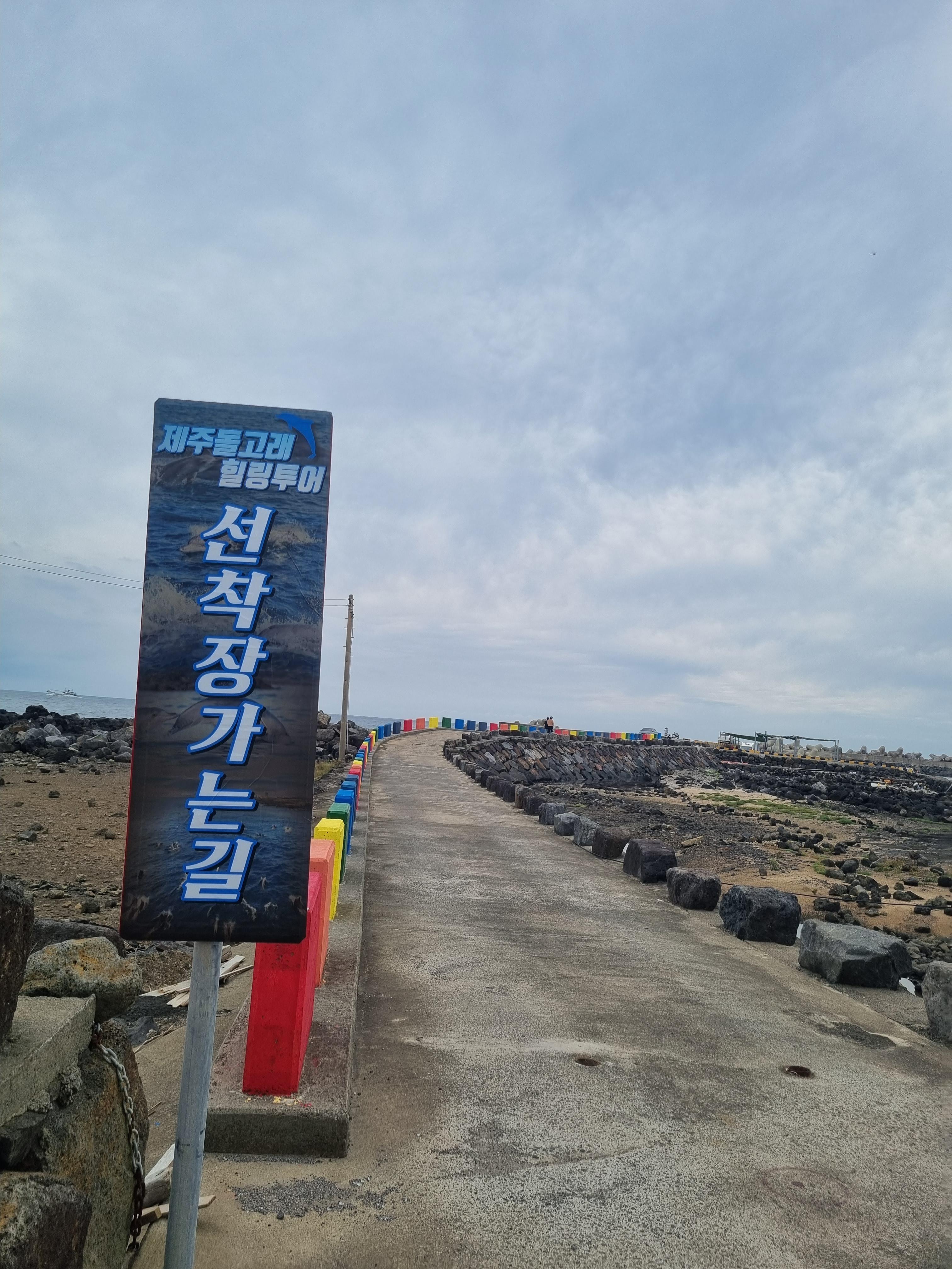 제주돌고래 힐링투어