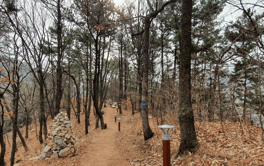 국립 용지봉 자연휴양림