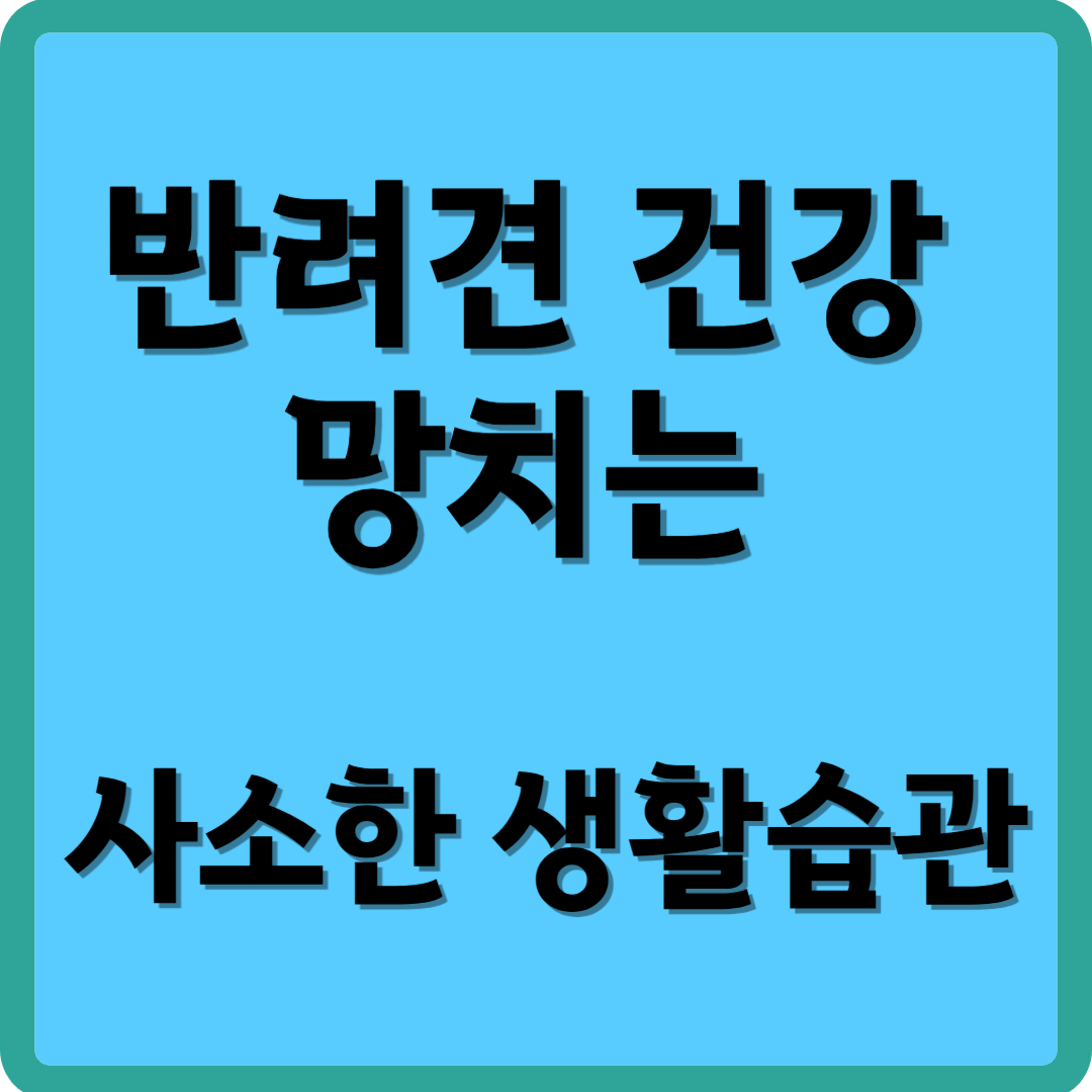 반려견 건강 망치는 사소한 생활습관