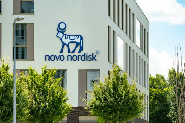 노보 노디스크 : 비만 치료제 시장 전망과 향후 주가 반등 가능성 분석(+실적)