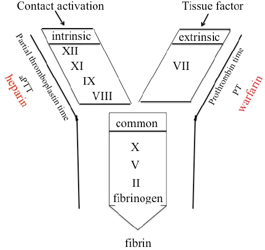 혈우병 원인과 치료