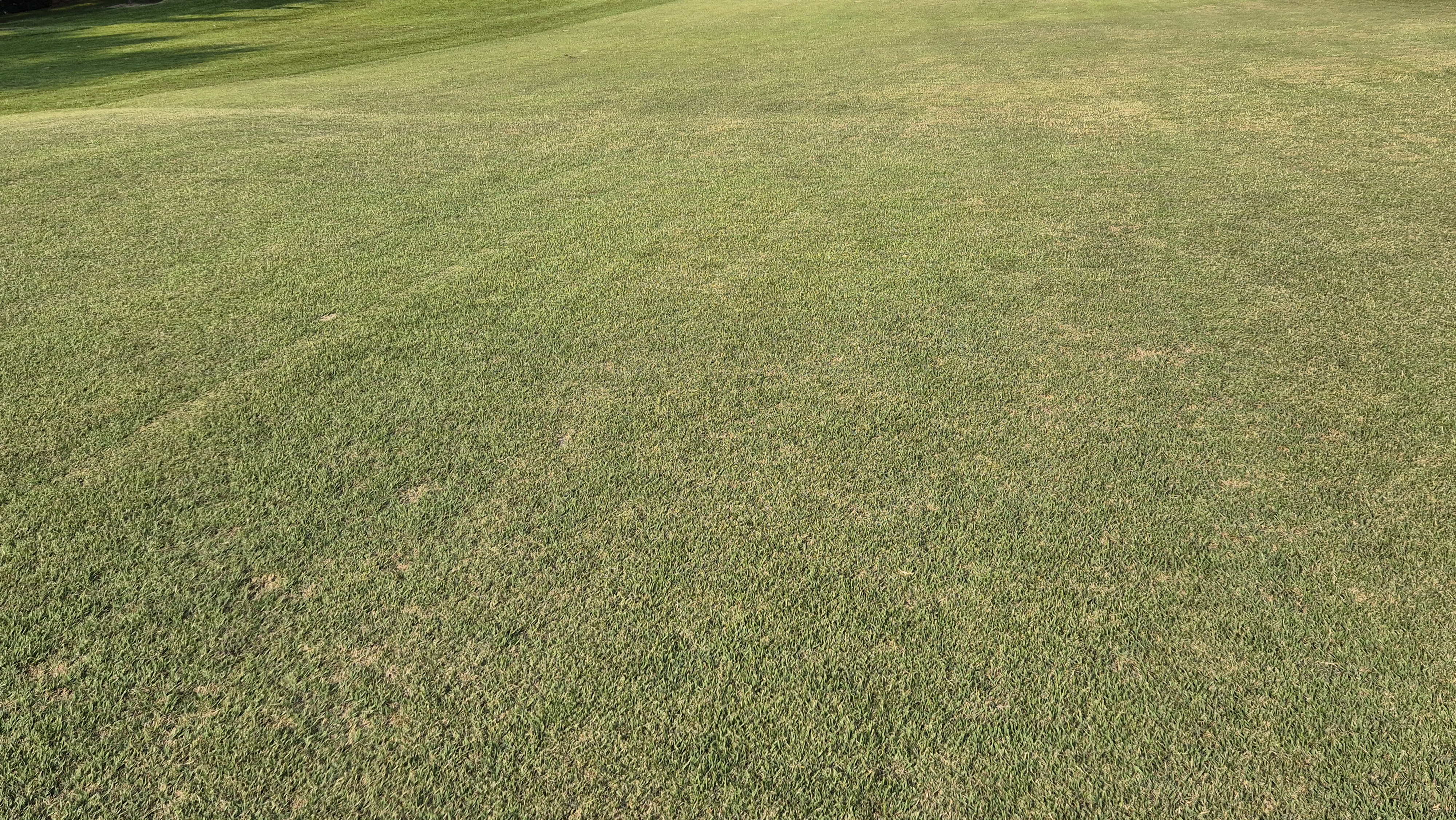 이포cc 라운드 후기