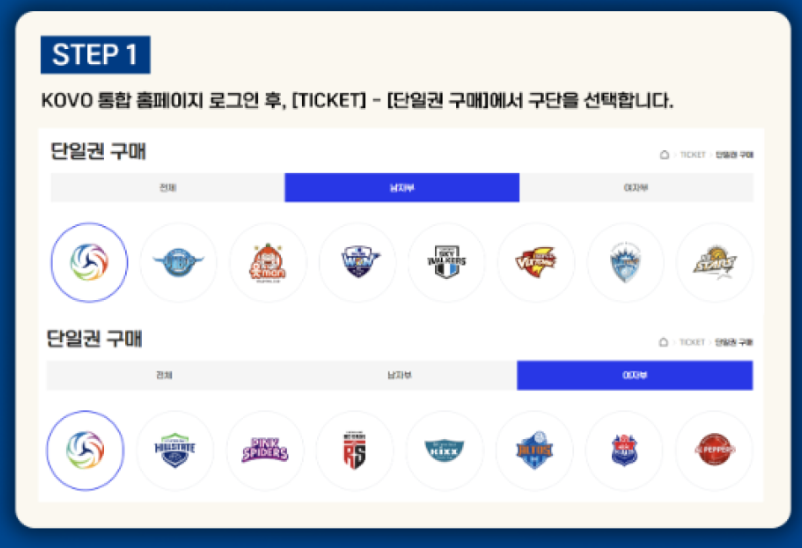 2024-25년 여자 배구 일정 및 순위