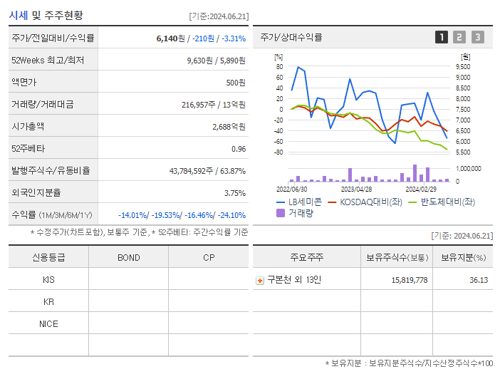 LB세미콘_기업개요