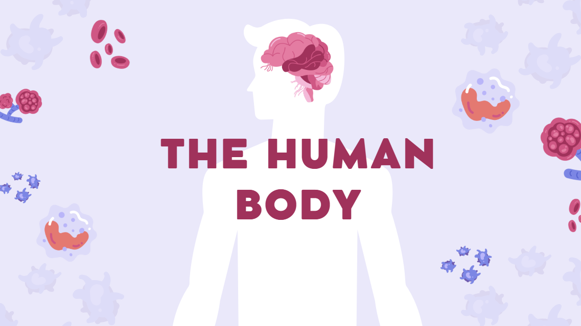 중성자치료에 대한 이미지입니다