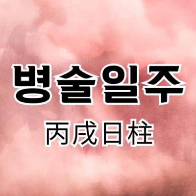 병술일주(丙戌日柱)