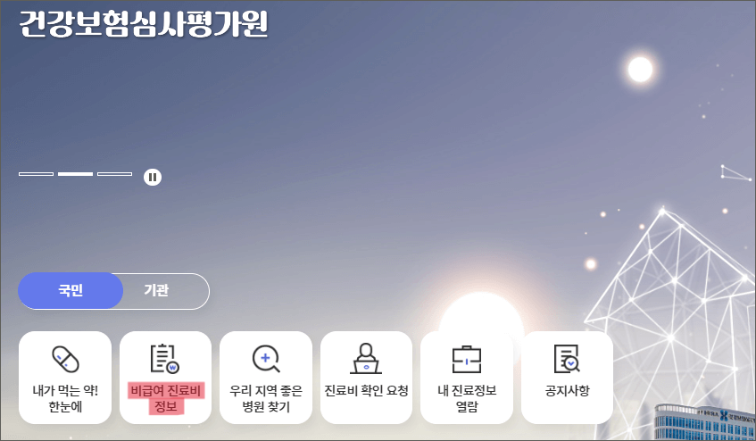비급여 진료비 조회 확인서비스