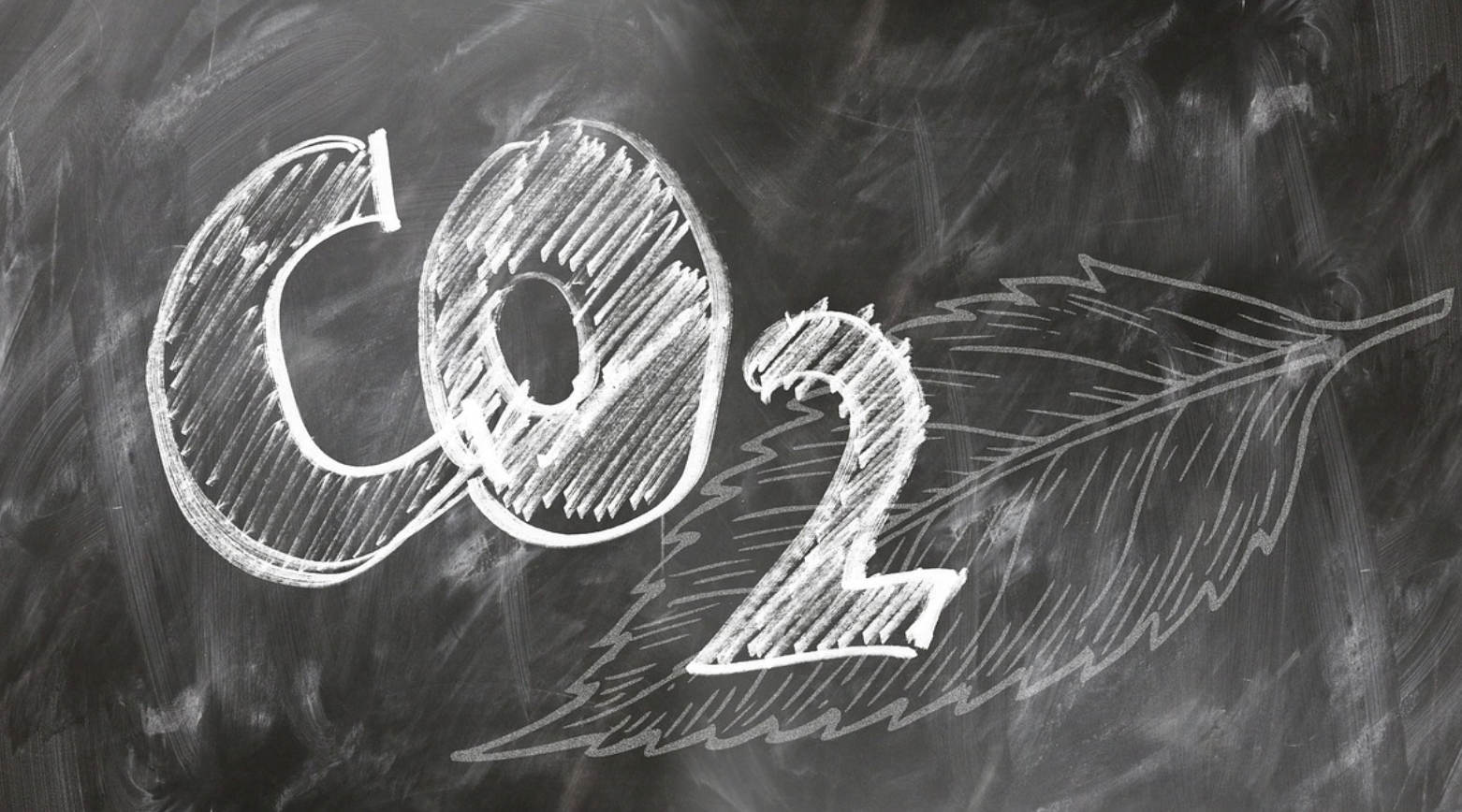 탄소중립 실천법