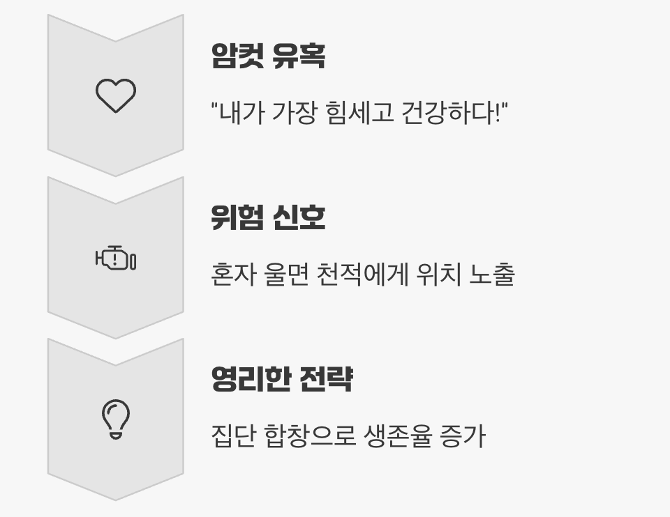 단순한 구애를 넘어선 경쟁
