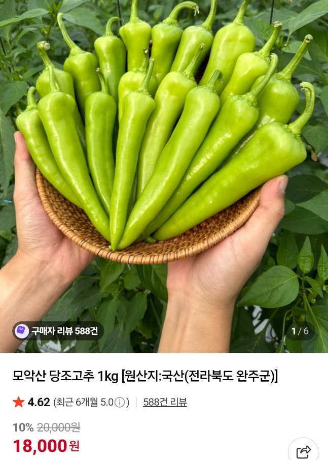 6시내고향-당조고추-모악산-당뇨고추-농부의꿈