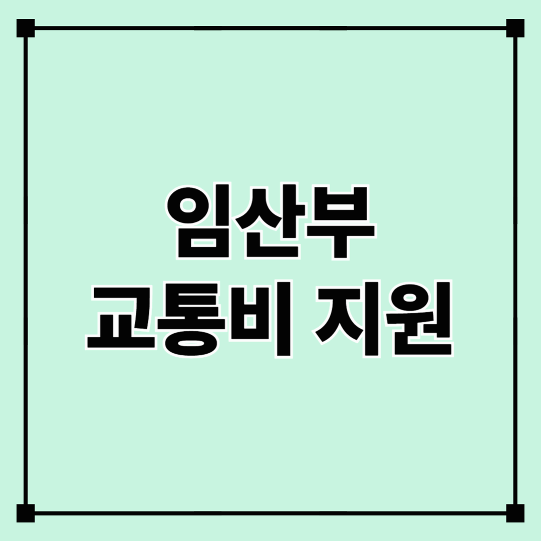 임산부 교통비 지원