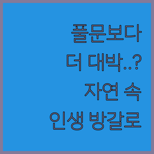 풀문 파티보다 더 매력적인 꼬팡안 자..