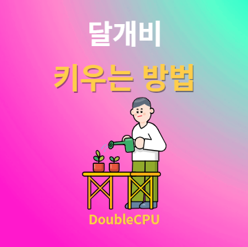 달개비 키우기