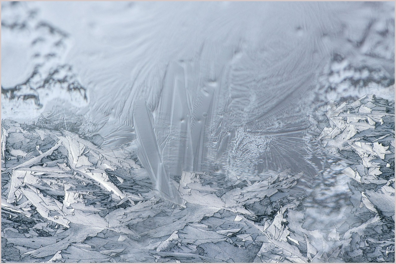 그랜저 하이브리드 가격표