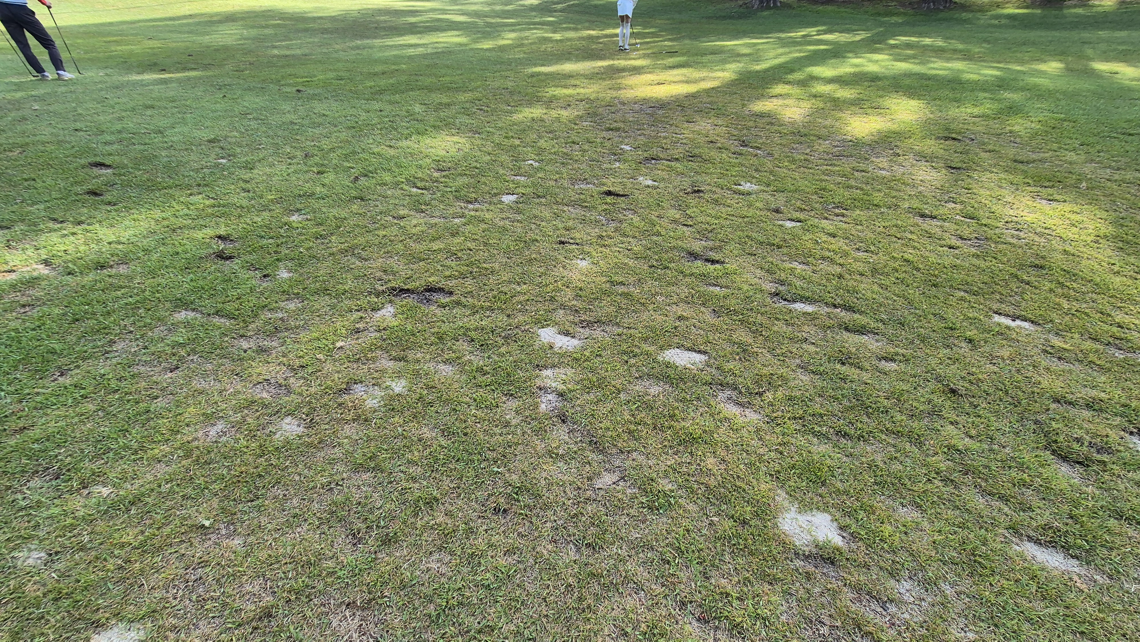 한원cc 라운드후기