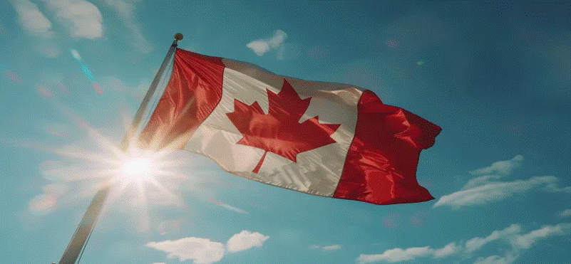 캐나다 여름 어학연수 필수 체크리스트 사진