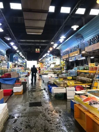 가락시장 맛집 회센터 수산시장 꽃게_6