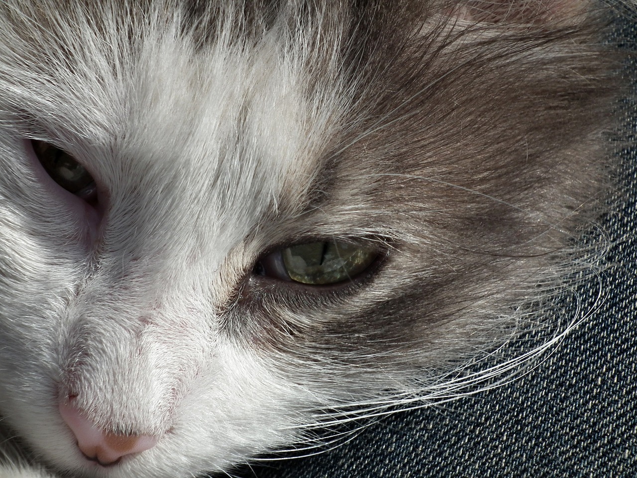 불면증 원인별 해결법