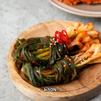 파김치 효능
