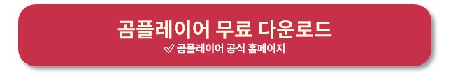 곰플레이어 다운로드