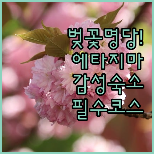 에타지마 구 해군병학교 봄 벚꽃 풍경..