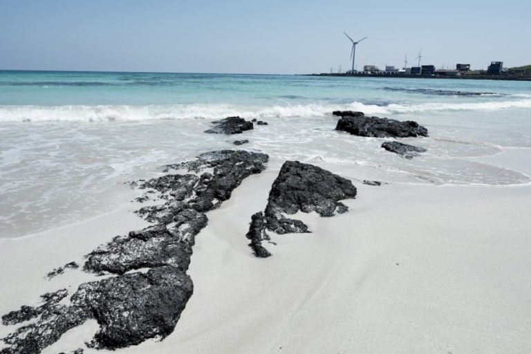 월정리 해변의 검은 바위