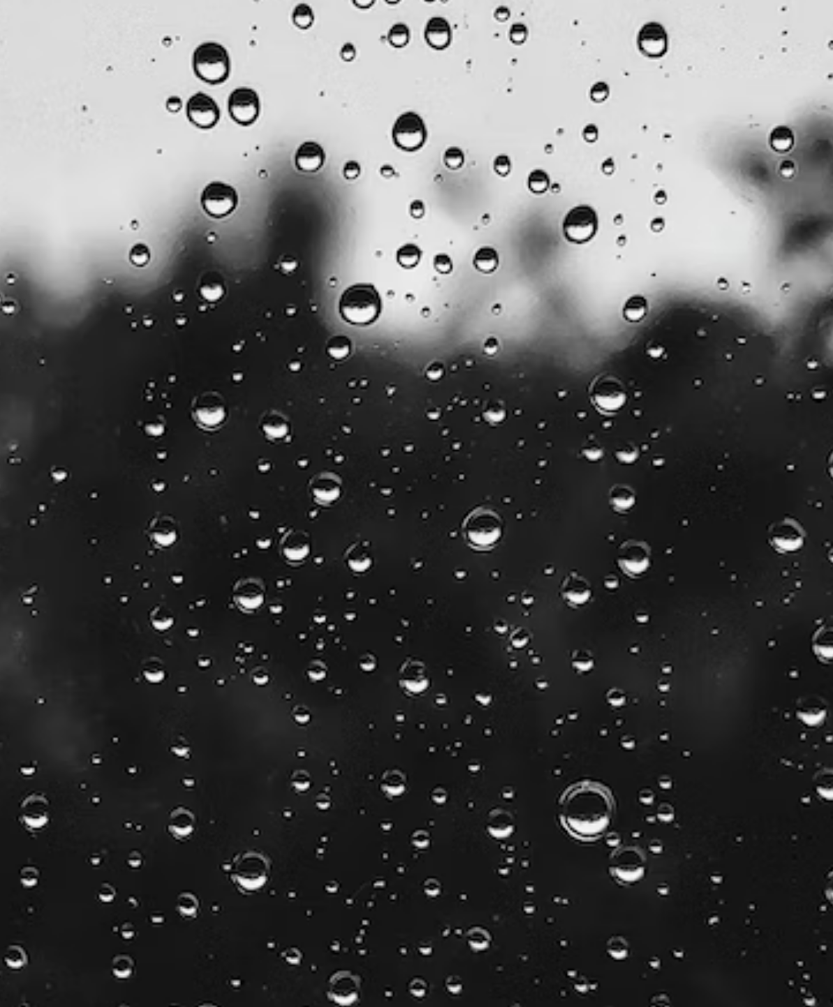 침수피해예상지역