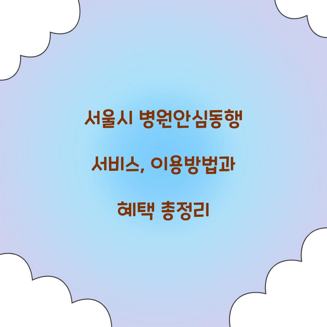 서울시 병원안심동행 서비스