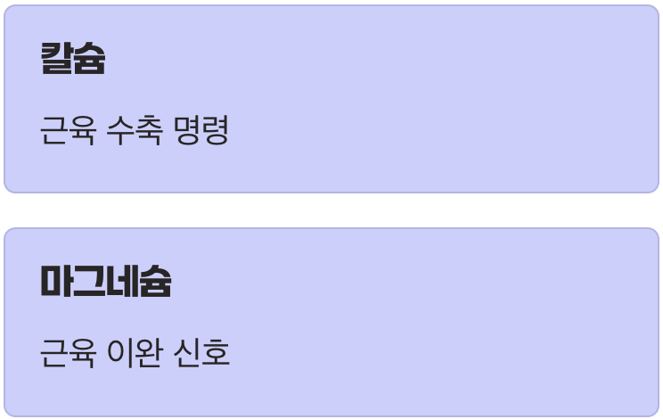 우리 근육을 움직이는 스위치