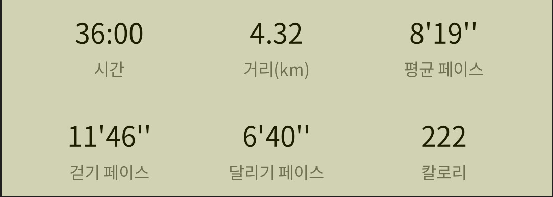 스위치온 다이어트 도전 갱년기 다이어트 2주 10일차