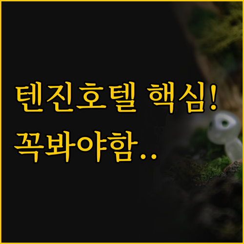 후쿠오카 텐진 호텔 세 곳의 진짜 장..