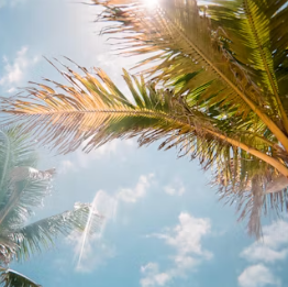 이석증 증상 후유증 원인 예방치료방법