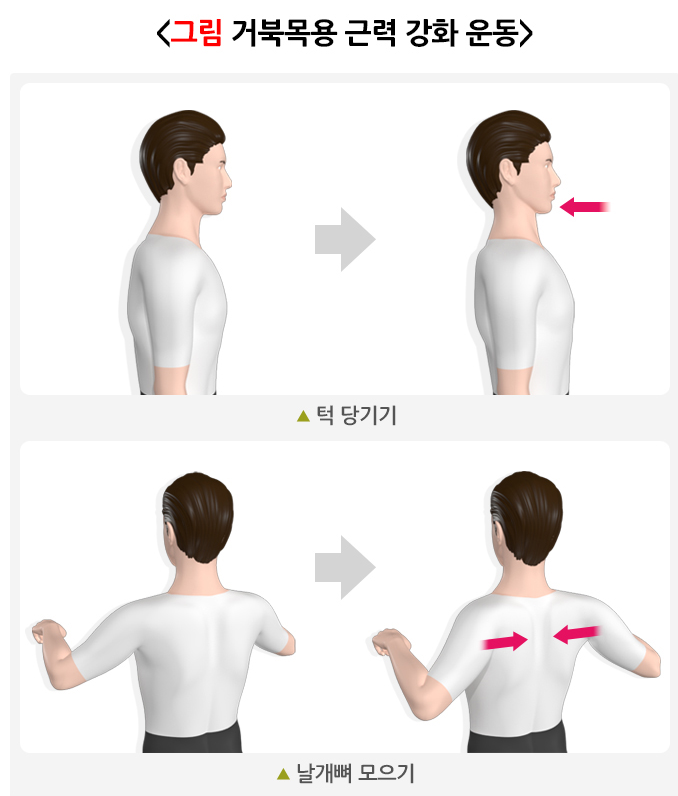 자세 교정운동