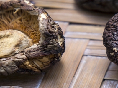 표고버섯 효능 사진35