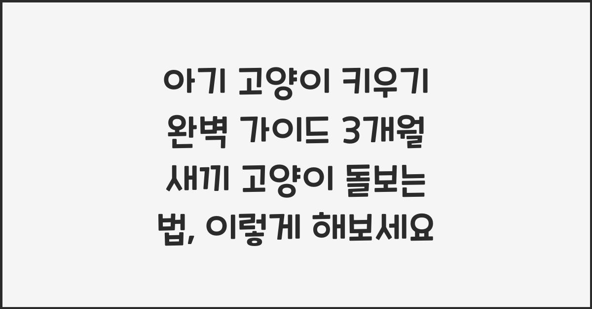 아기 고양이 키우기 완벽 가이드! 3개월 새끼 고양이 돌보는 법