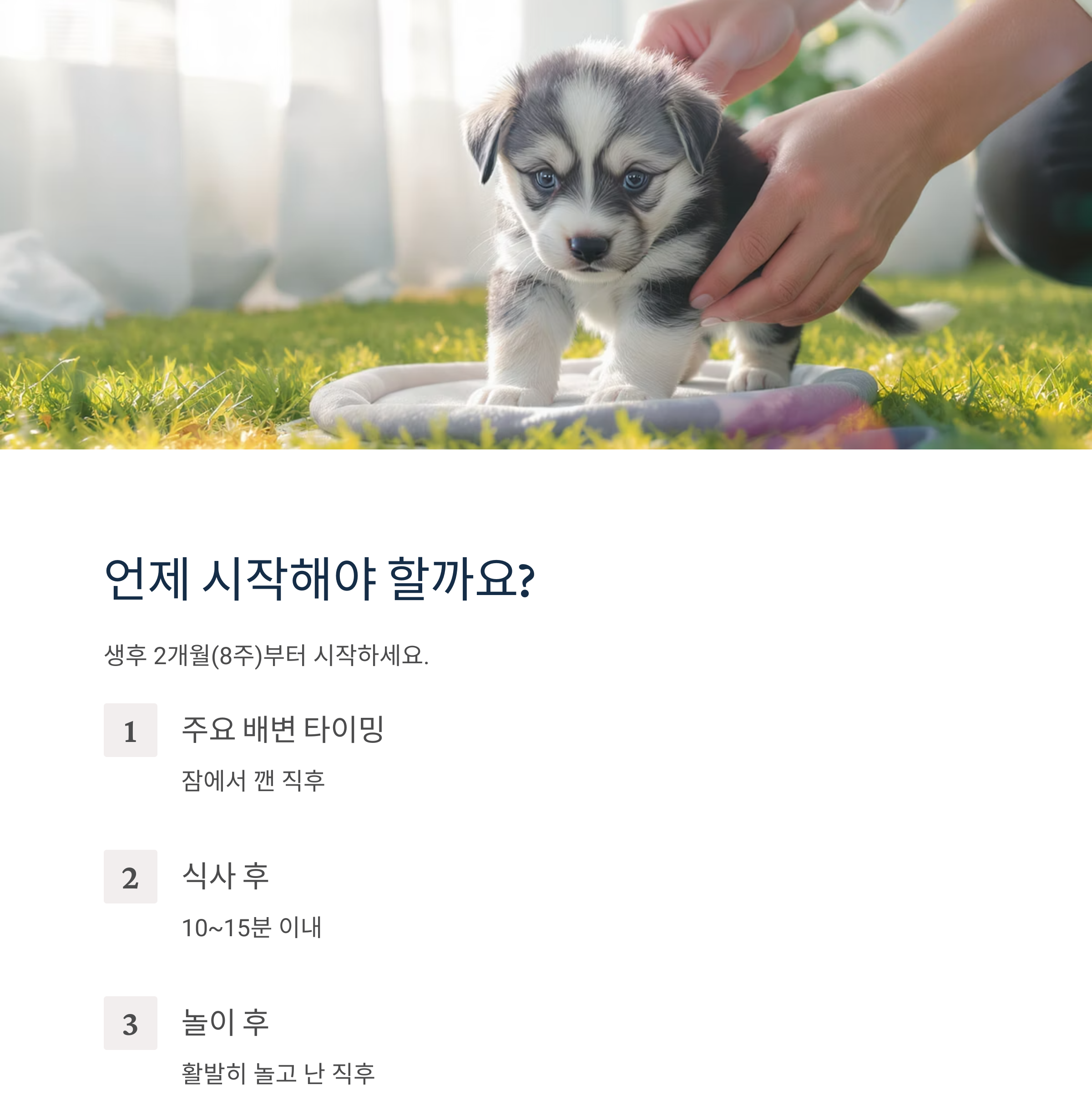 강아지 배변 훈련 완전 정복 가이드, 초보 집사 필독!