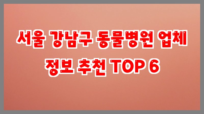 서울 강남구 동물병원