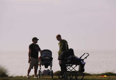 유모차용 방풍커버 장단점 (겨울철 바람막이 필수템) 관련 사진
