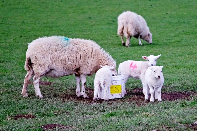 [콜키지 뜻] 콜키지프리 뜻&amp;#44; 와인콜키지 뜻&amp;#44; 페어링 뜻&amp;#44; 와인 페어링이란? 블루투스 페어링이란?