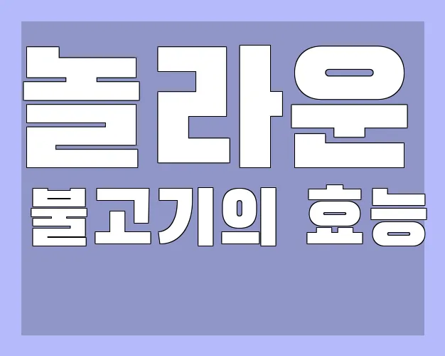 놀라운 불고기의 효능