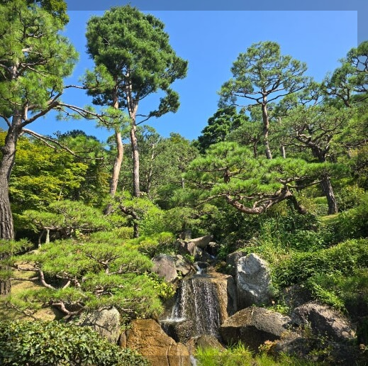 화담숲 단풍여행: 가을 절경을 만끽하는 최고의 산책 코스 추천