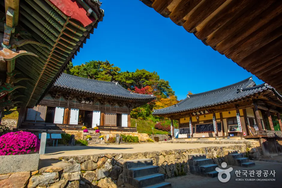봉정사