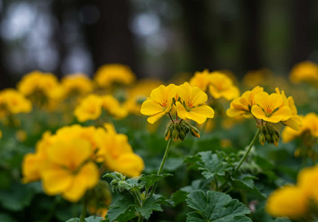 MBTI 성격 유형별 스트레스 해소법