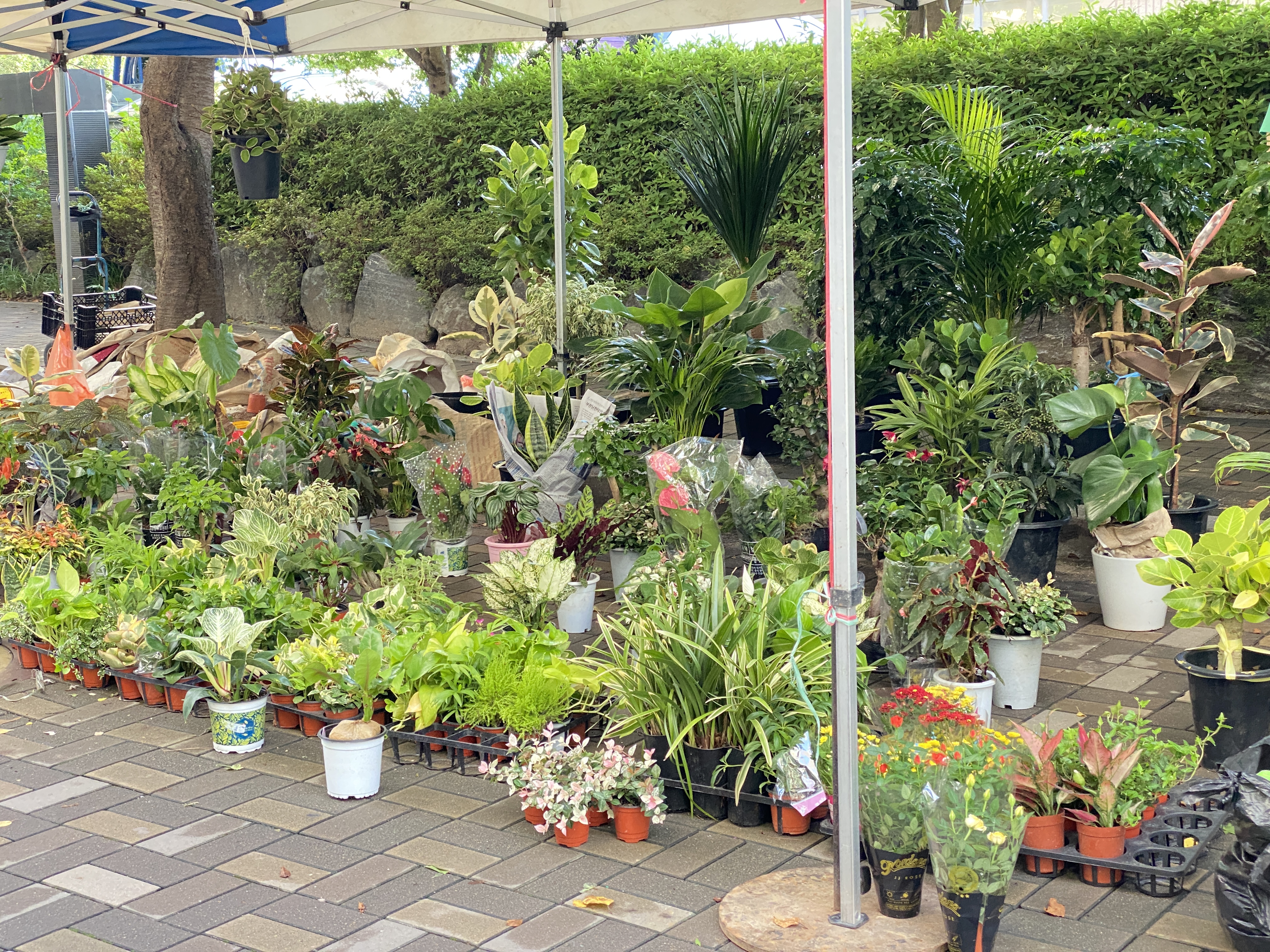 함안 칠원 자이아파트 장날 내돈내먹 추천 메뉴/ 수제어묵 오뎅 꼬지 곱창순대볶음